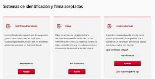 Pantalla mostrando sistemas de identificación y firma aceptados, incluyendo certificado electrónico, clave y usuario avanzado. Screen showing accepted identification and signature systems, including electronic certificate, key, and advanced user.